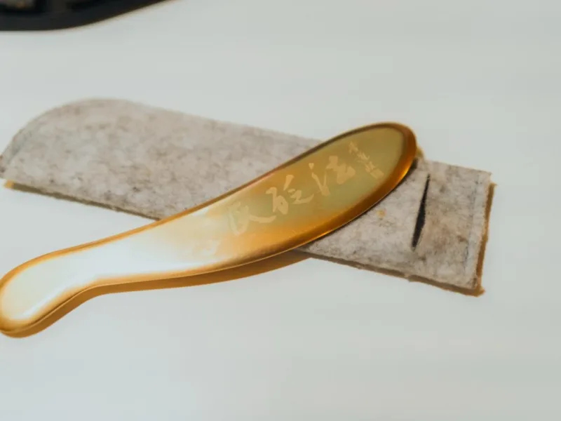 Tiger Talisman Copper Bian (虎符铜砭) with Li Shi Bian Method engraving on felt case